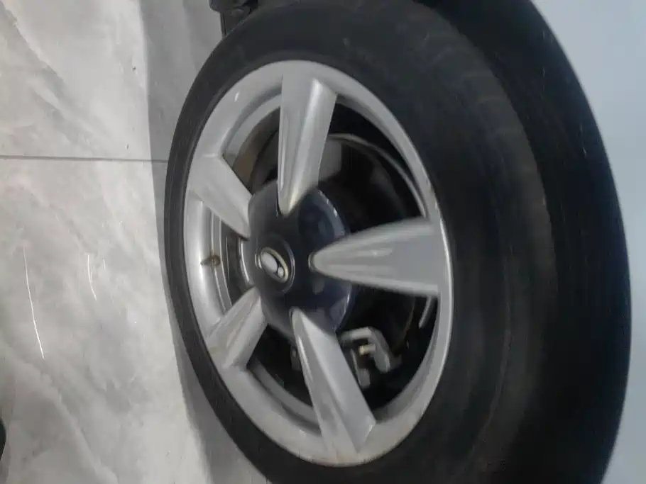 Ora Good Cat GT 2021 2022 Mulan Edition 480km Long Range