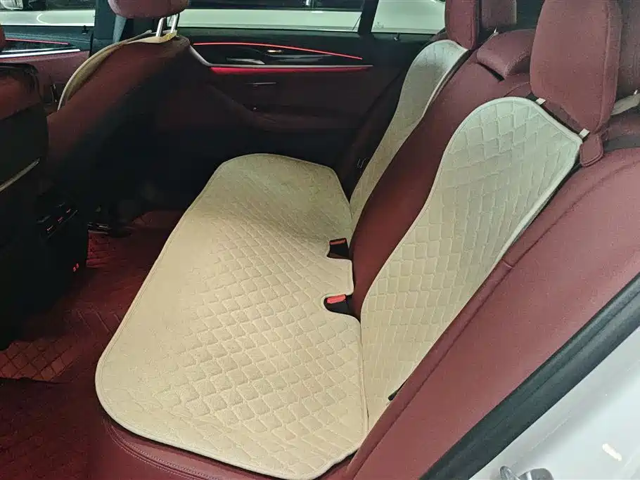 BMW 5 Series 2021 525Li M Sport Package фото 11