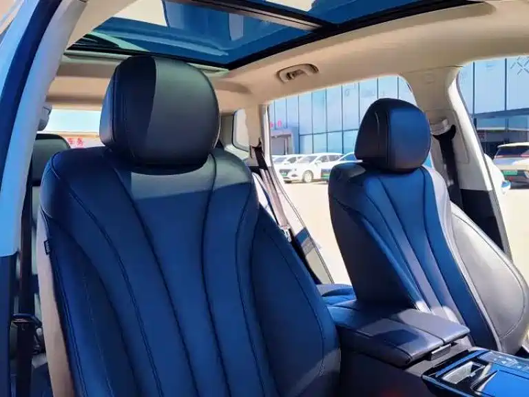 Roewe RX5 eMAX 2020 2020 500PHEV 4G Connected Luxury Edition