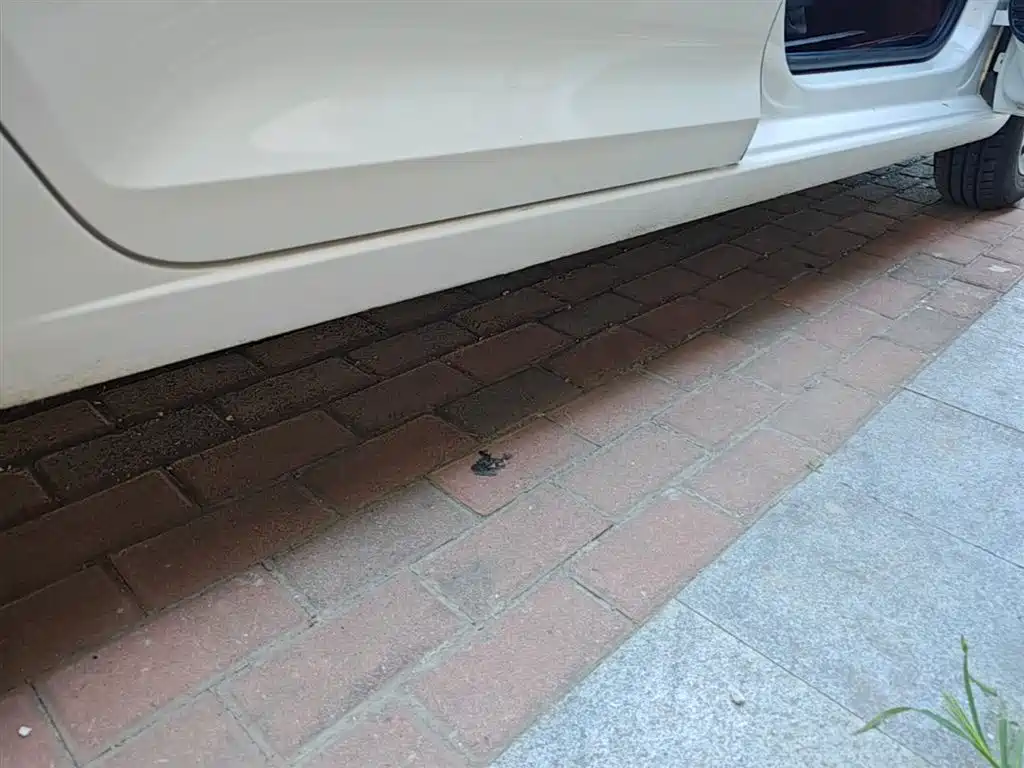 Volkswagen Santana 2021 1.5L Automatic Trend Edition фото 20