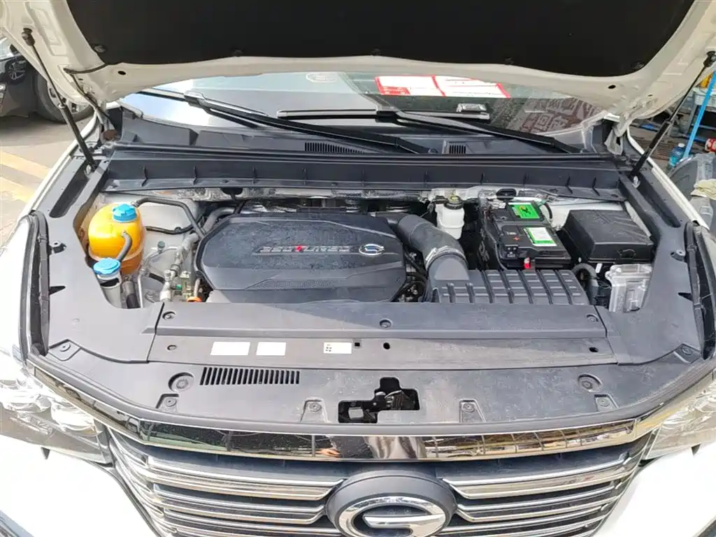 GAC Trumpchi Trumpchi GS8 2020 390T 2WD Luxury Smart Connect Anniversary Edition (7-Seater) фото 20