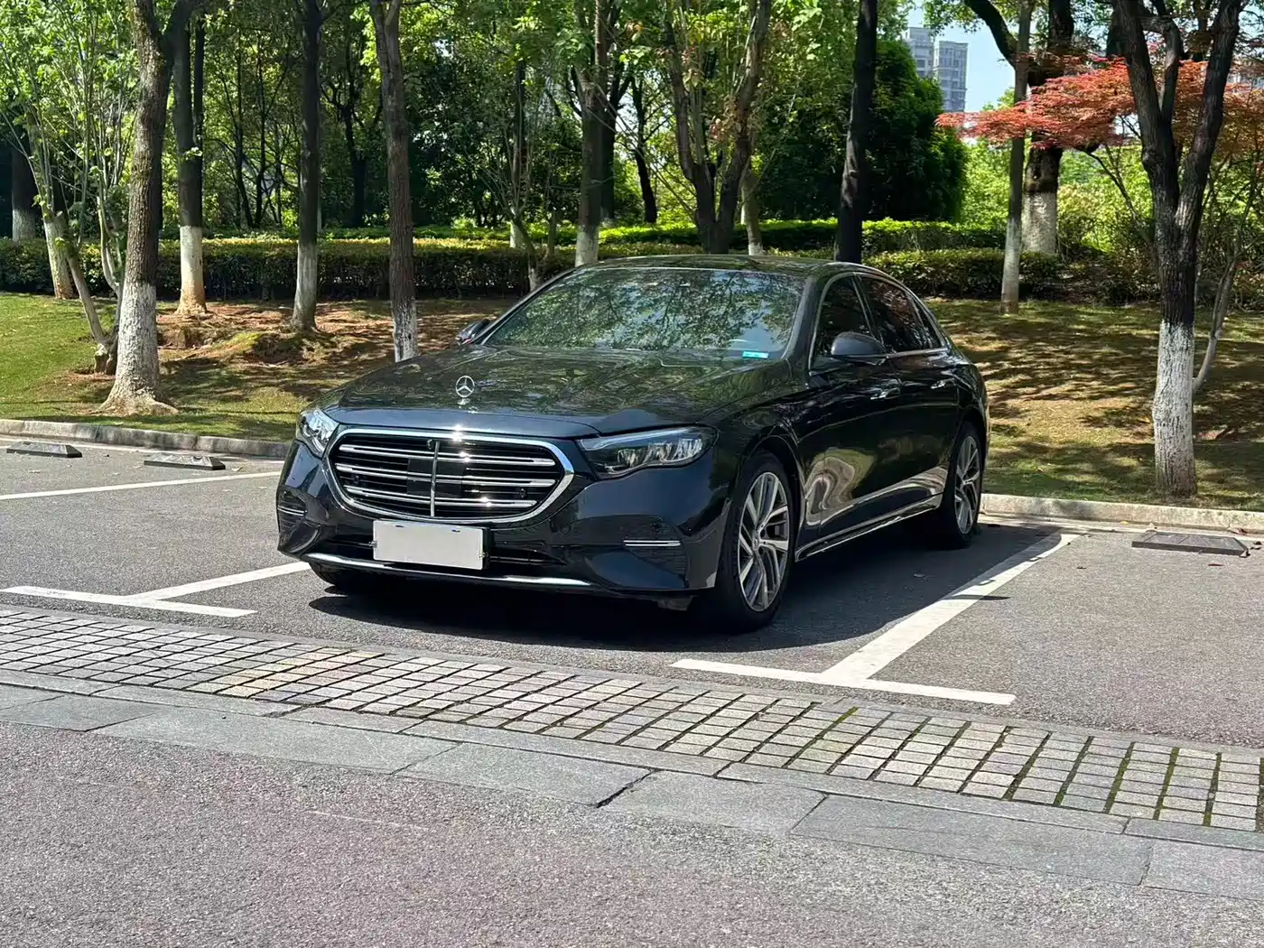 Mercedes-Benz E-Class 2024 E 300 L Fashion фото 2