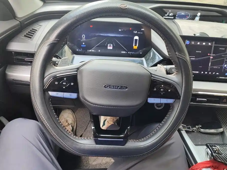 Changan Oshan Z6 2024 2023 Blue Whale 1.5T DCT Smart Leader