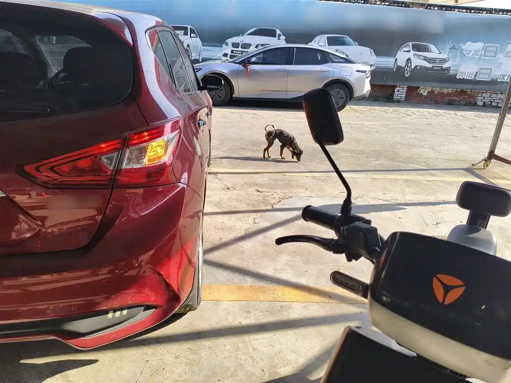 Nissan Tiida 2022 2021 1.6L CVT Smart Drive Edition