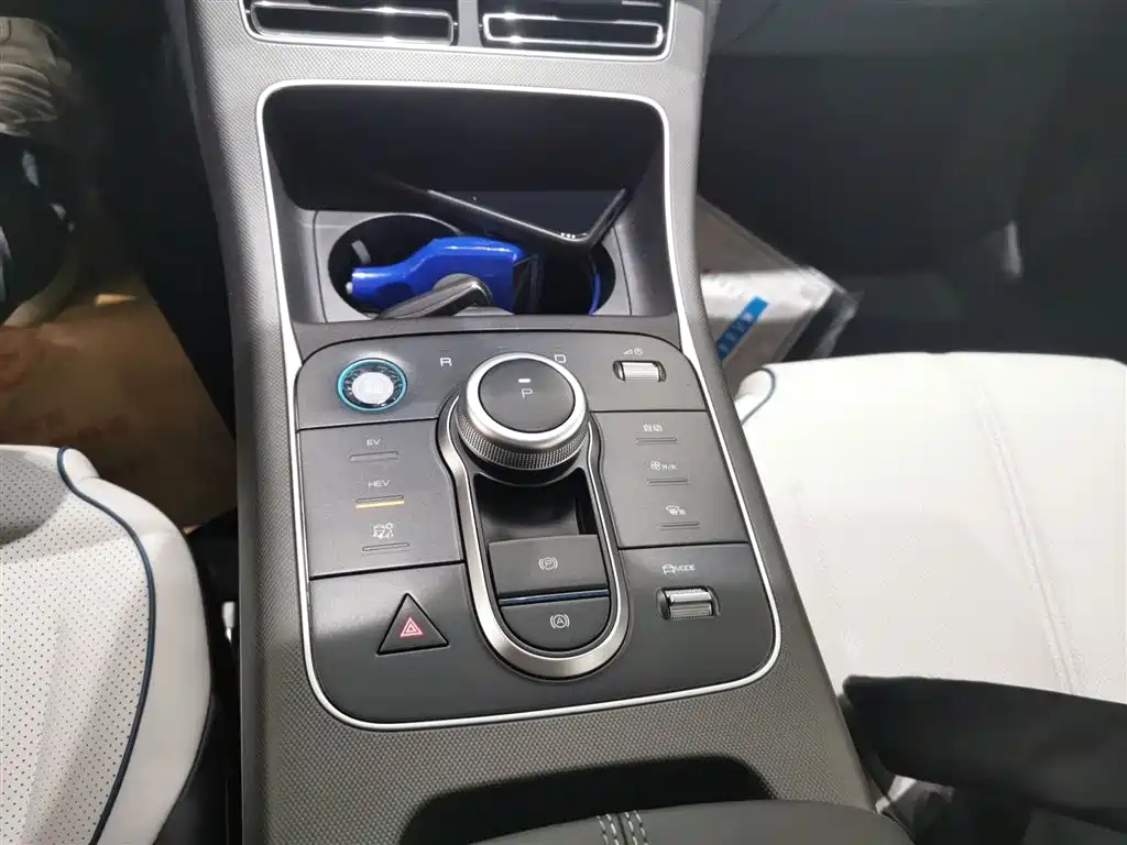 BYD Destroyer 05 2023 Champion Edition DM-i 55KM Luxury фото 14