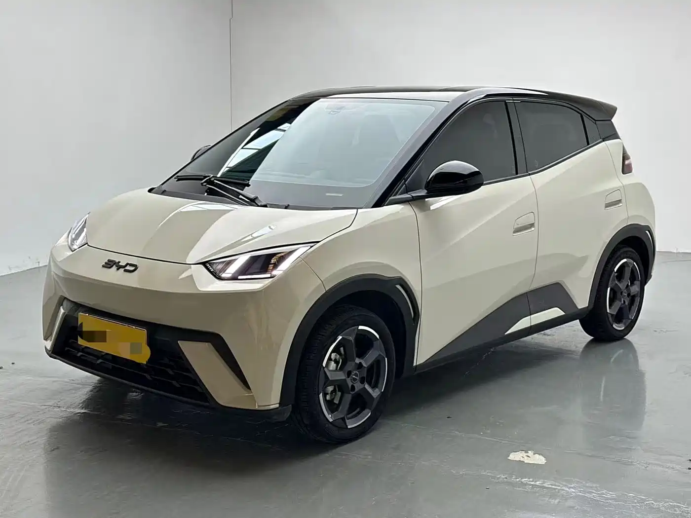 BYD Seagull 2024
