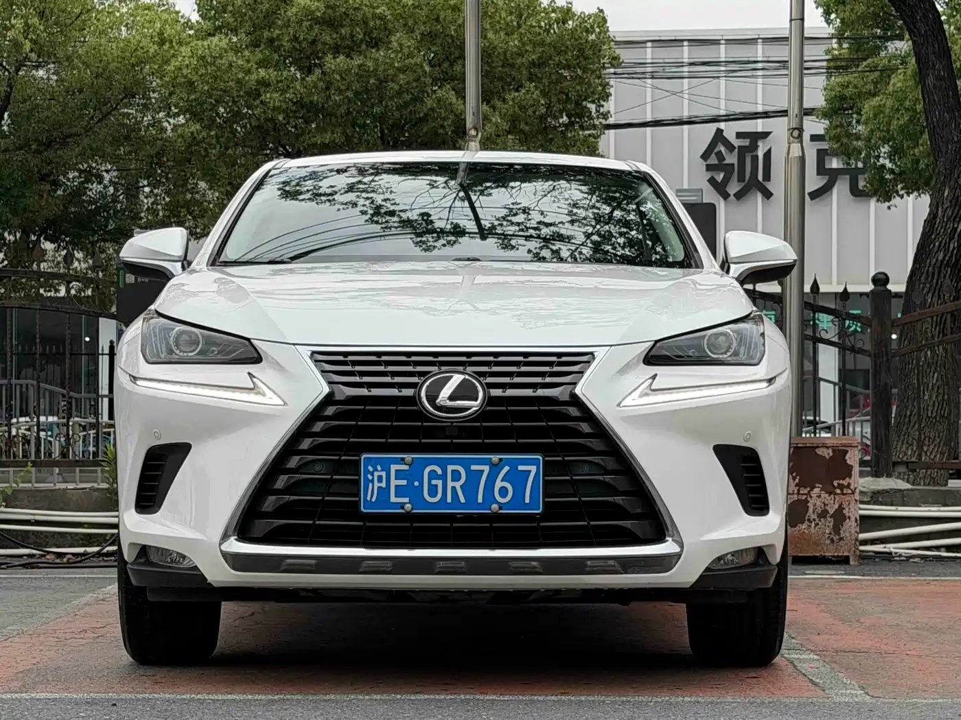 Lexus NX 2018 Model 200 FWD Fengxing Edition China V фото 3