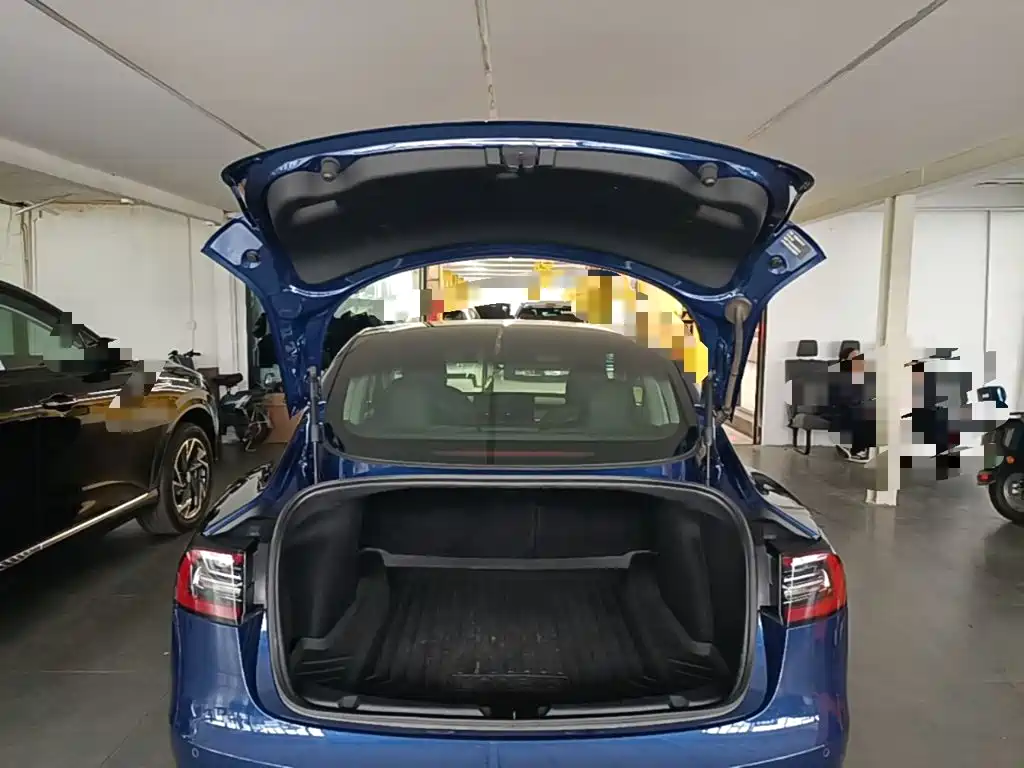 Tesla Model 3 2020 2020 Standard Range Rear-Wheel Drive Upgrade