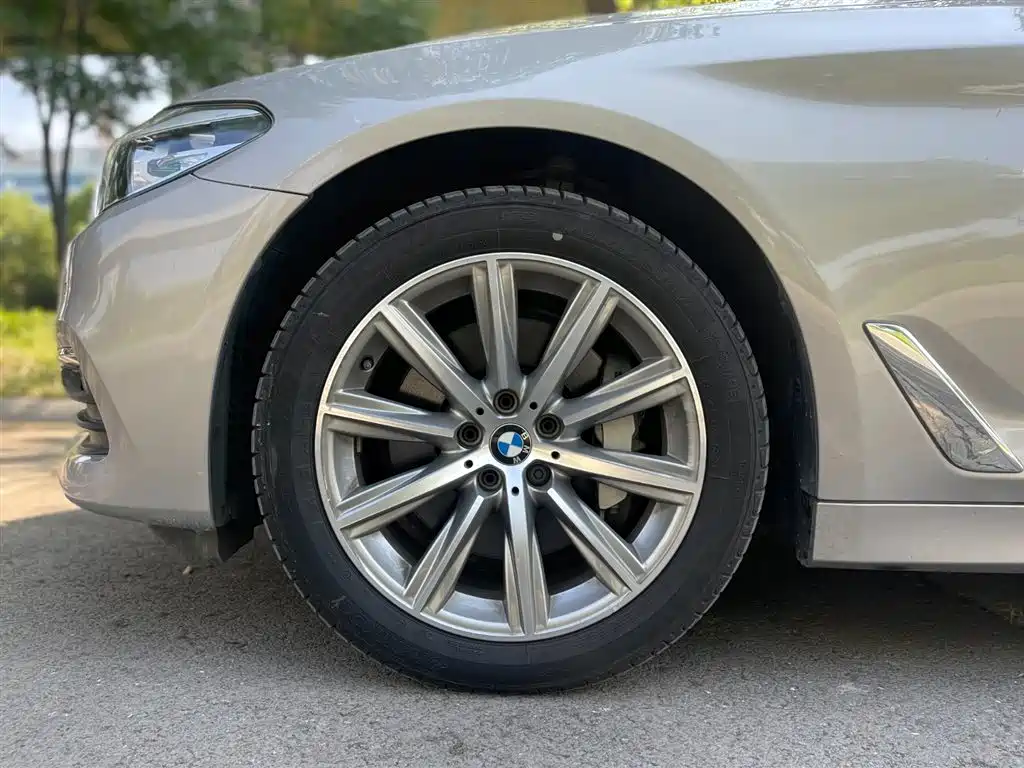 BMW 5 Series 2018 528Li Launch Special Edition фото 7