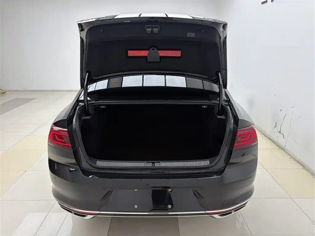Volkswagen Magotan 2025 Popular Edition 330TSI DSG Luxury фото 6