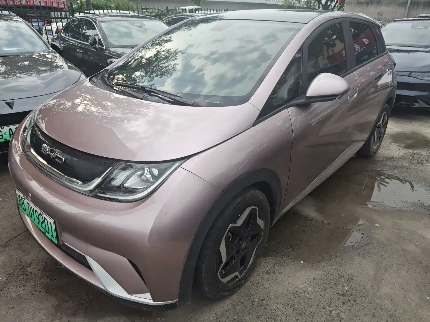BYD Dolphin 2021 Model 405km Fashion Edition