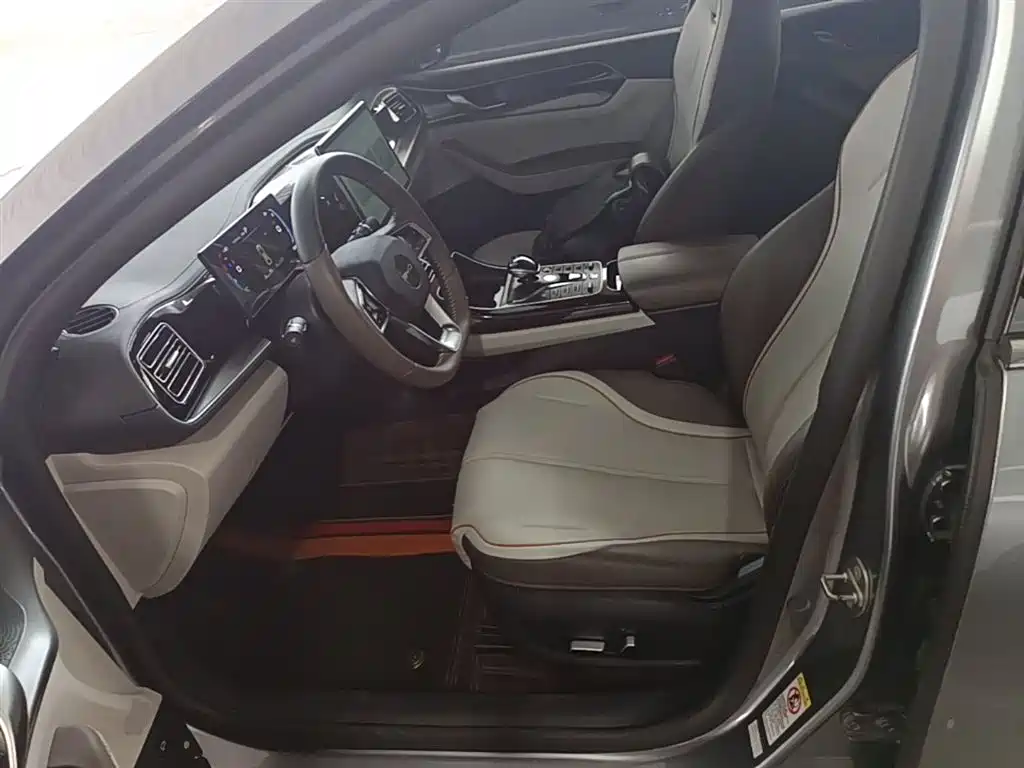 BYD Qin PLUS 2021 DM-i 120KM Flagship фото 15