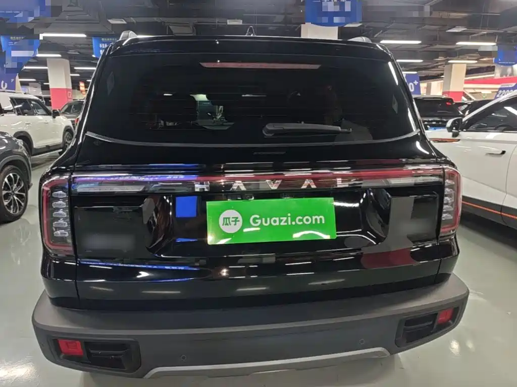 Haval Big Dog 2025 2024 1.5T DCT Border Collie Edition