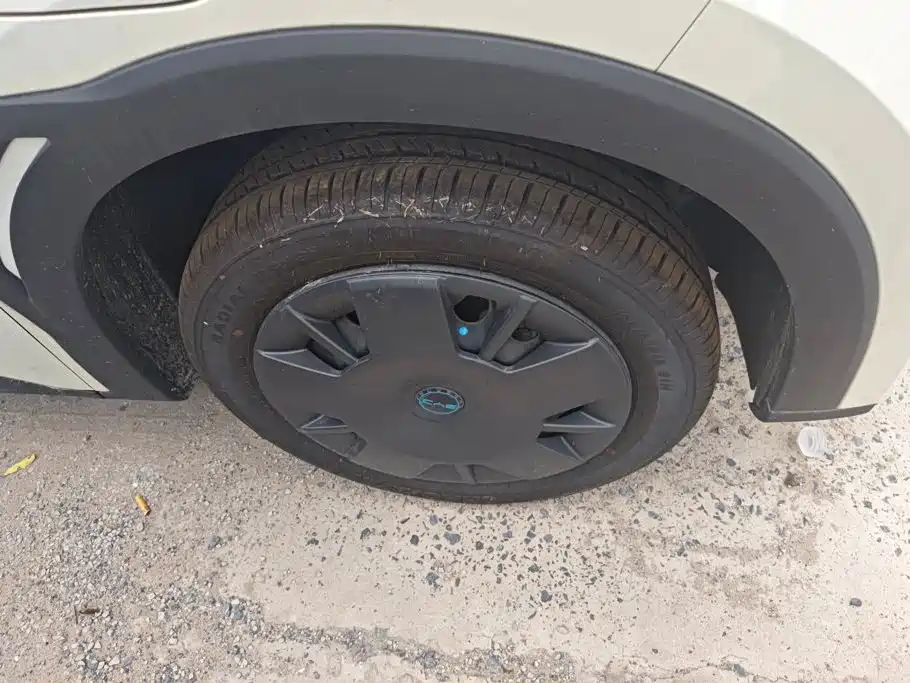 BYD Seagull 2026 2025 Smart Drive Edition 305km Vitality Version