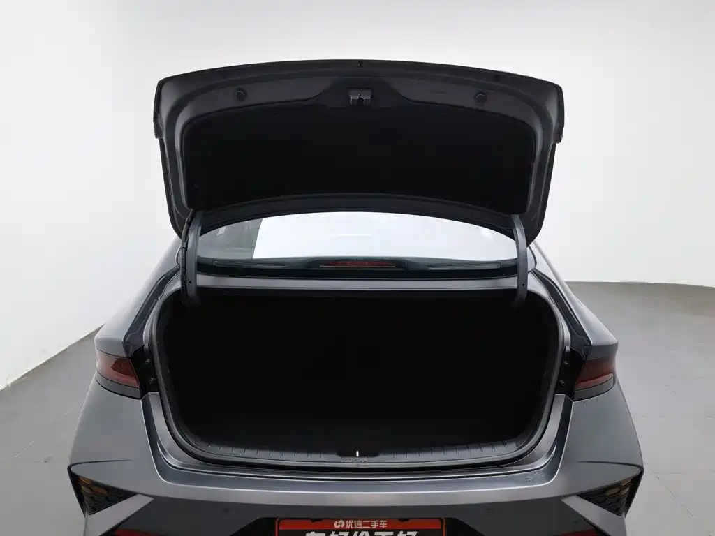صورة 16 - Hyundai Lafesta