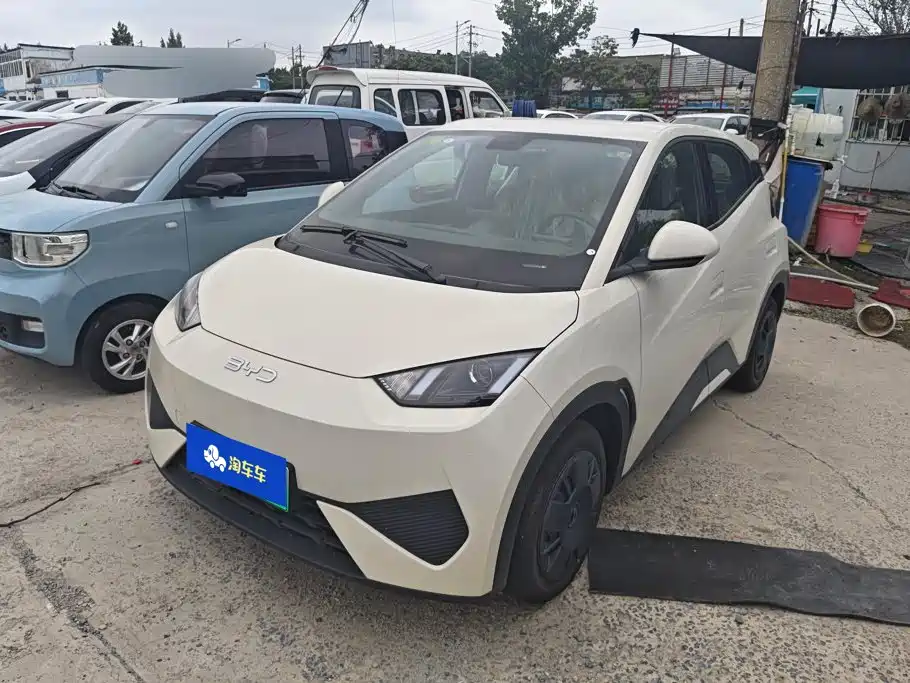 BYD Seagull 2026 2025 Smart Drive Edition 305km Vitality Version