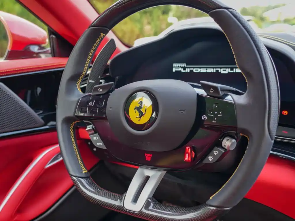 صورة 12 - Ferrari Purosangue