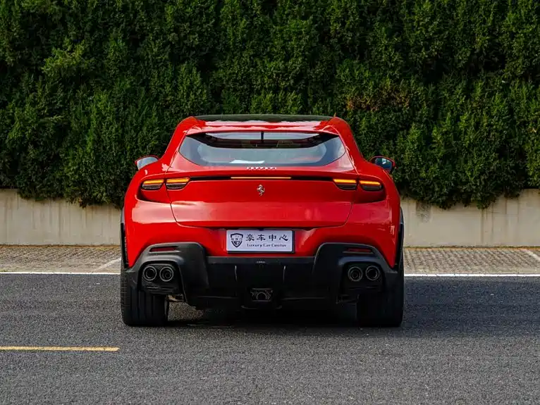 صورة 6 - Ferrari Purosangue