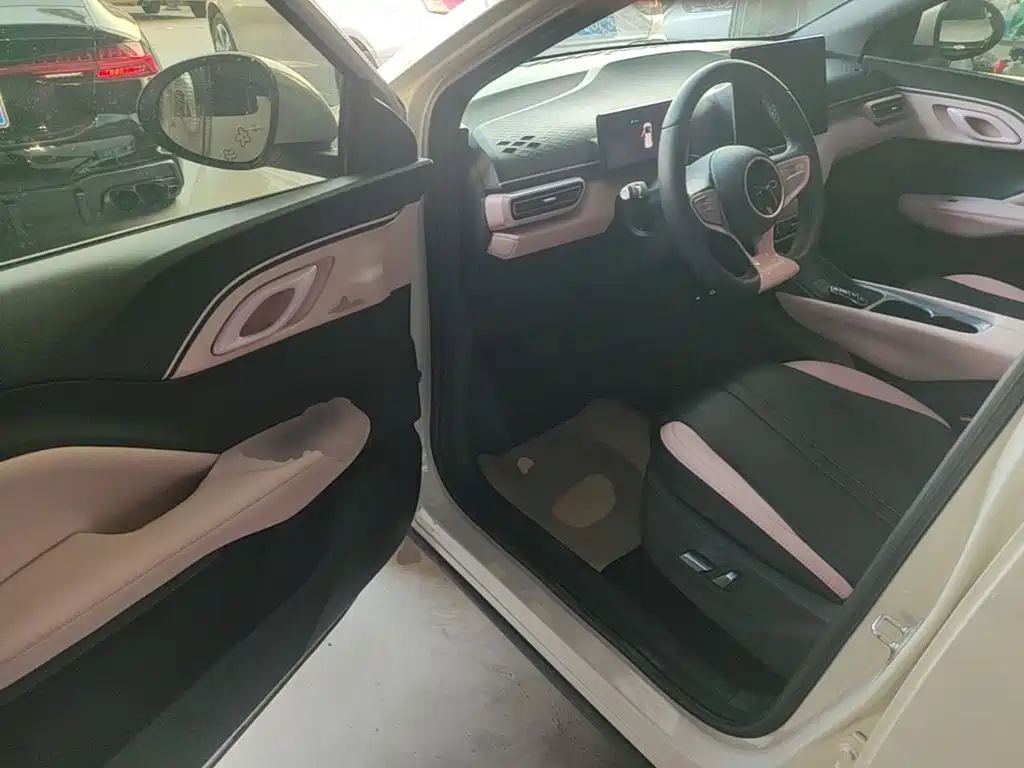 BYD Seagull 2026 2025 Smart Drive Edition 305km Freedom Version