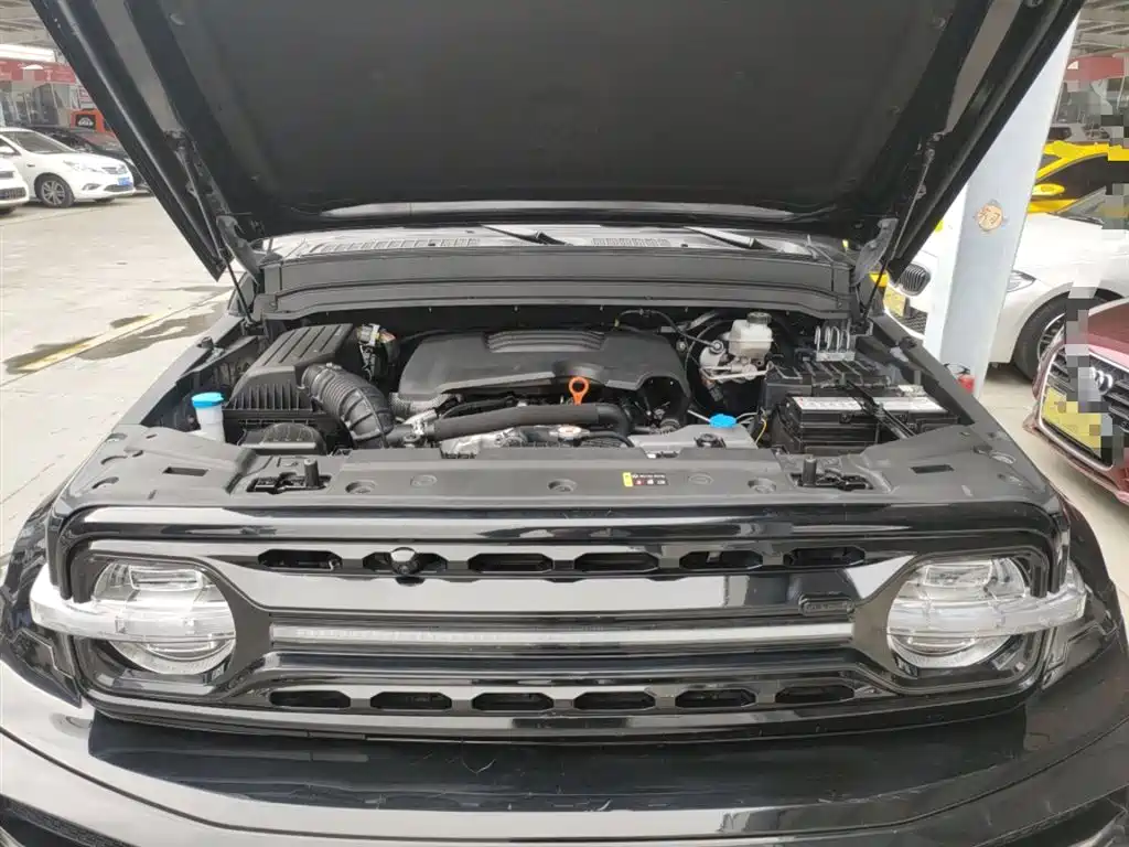 Tank 300 2021 Off-road Edition 2.0T Challenger фото 10