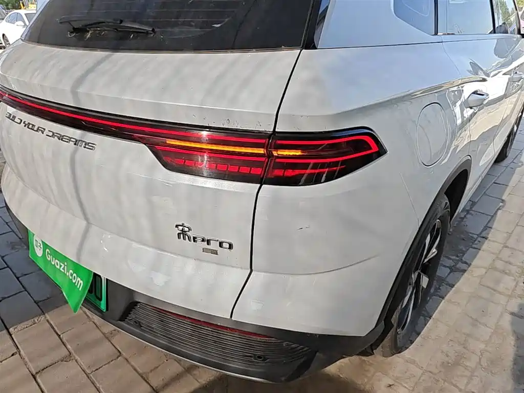 BYD Song Pro New Energy 2024 Glory Edition DM-i 71KM Pilot фото 8
