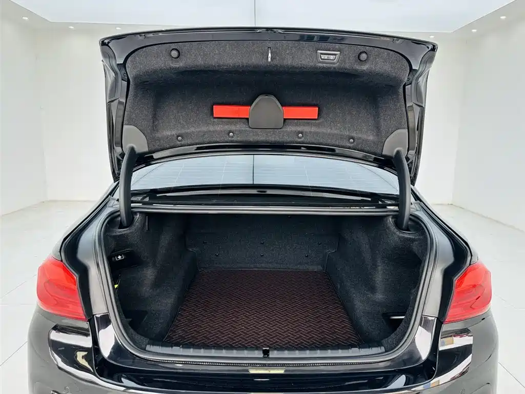 BMW 5 Series 2019 530Li Premium M Sport Package фото 27