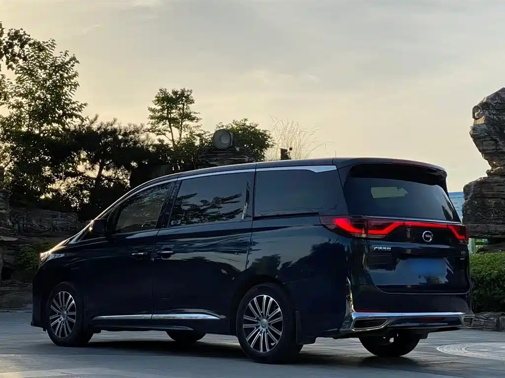 GAC Trumpchi Trumpchi M8 2021 Leading Show Series 390T Ultimate Edition фото 14