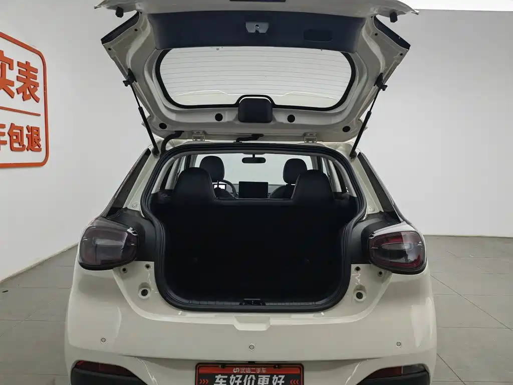 Dongfeng Yipai Nano 01 2025 2024 Renewal Edition 430 Plus Smart+