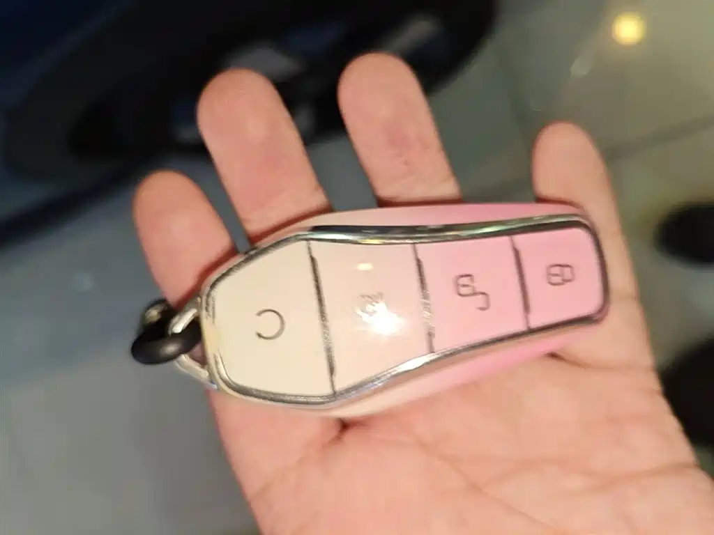 BYD Seal 06 New Energy 2025 DM-i Smart Drive 80KM Luxury фото 9