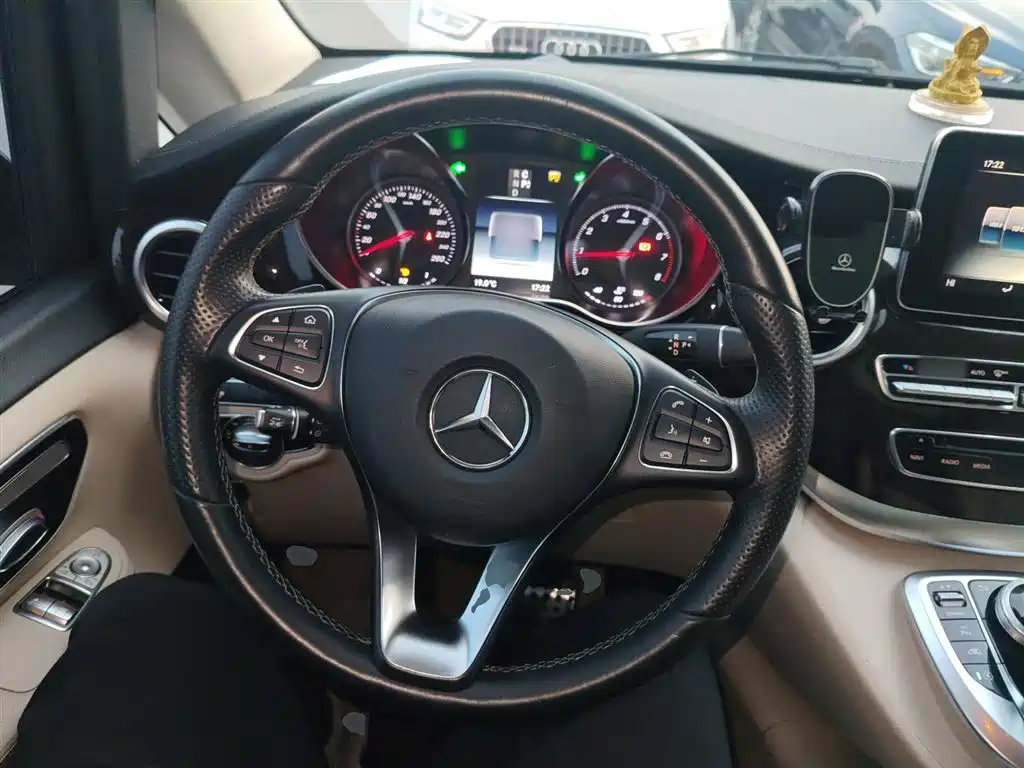 Mercedes-Benz V-Class 2018 V 260 Premium Edition China V фото 11