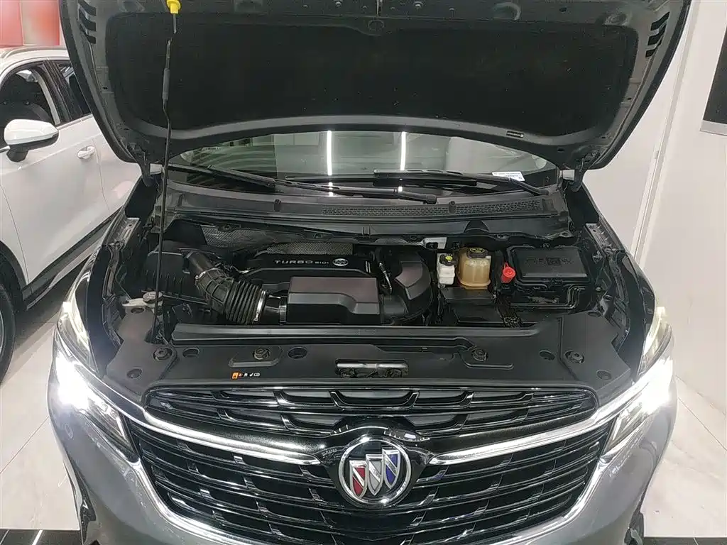 Buick GL8 2021 Land Business Class 652T Luxury фото 10