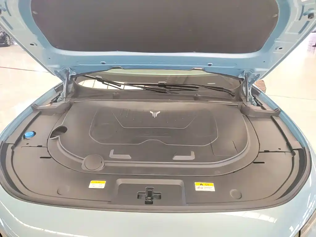 Voyah Free 2022 2021 AWD Standard Range Extender Exclusive Luxury Package