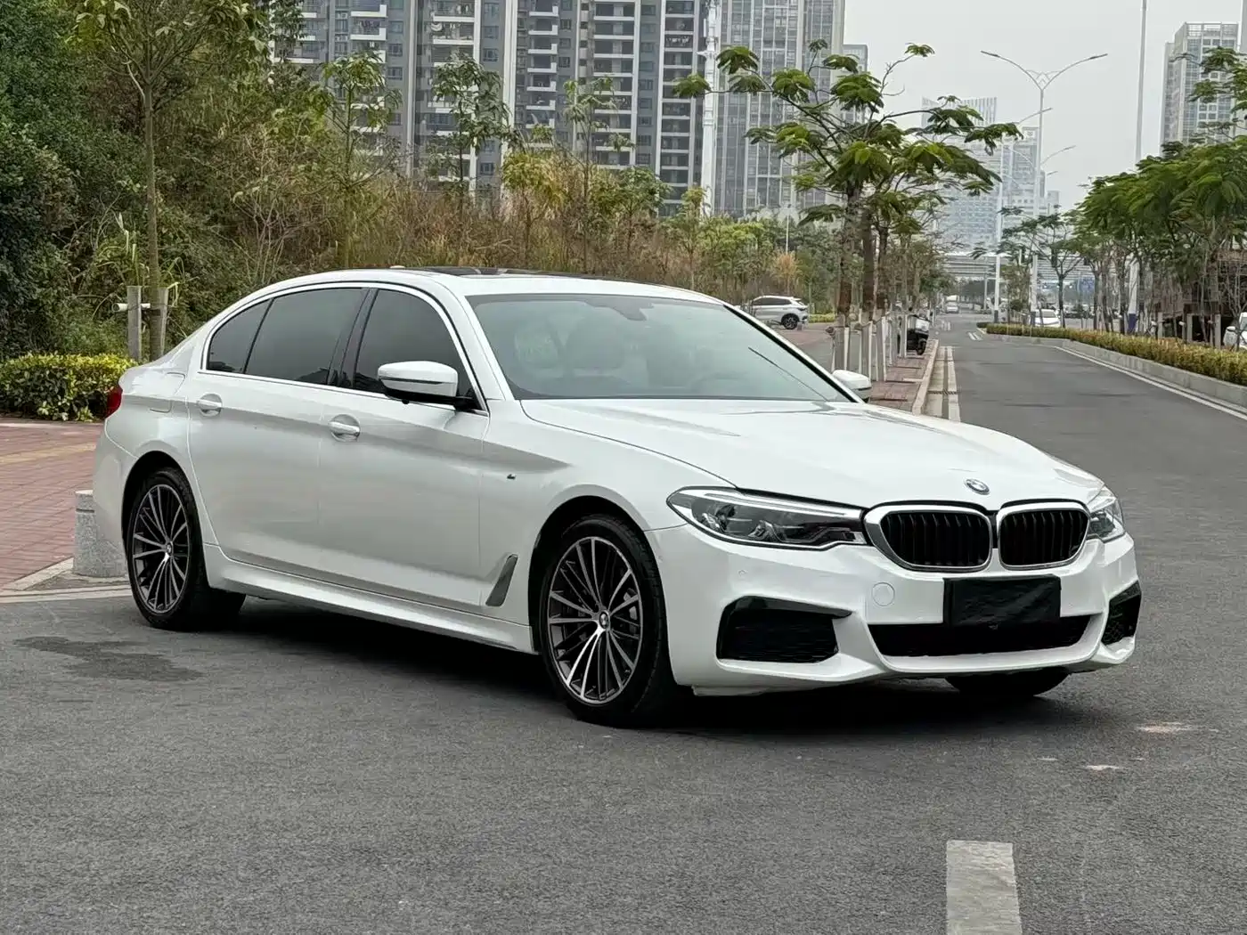 BMW 5 Series 2020 530Li Leading M Sport Package фото 3