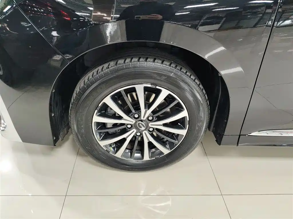 GAC Trumpchi Trumpchi M8 2023 Leading Series 390T Premium Edition фото 23