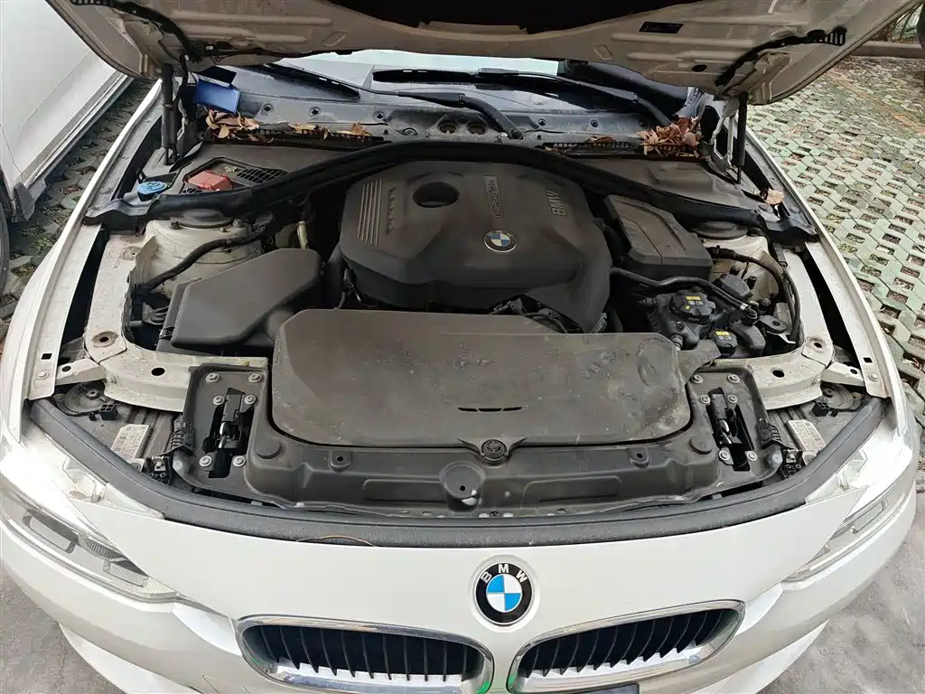 BMW 3 Series 2017 320Li Fashion фото 11