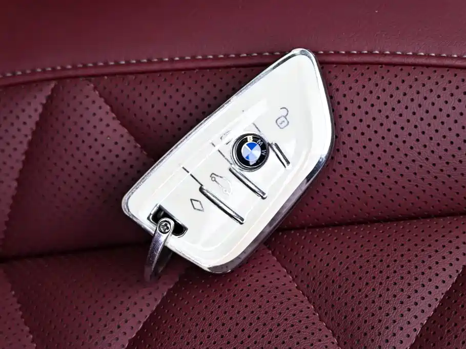 BMW X5 2022 Facelift xDrive 30Li Premium M Sport Package фото 36