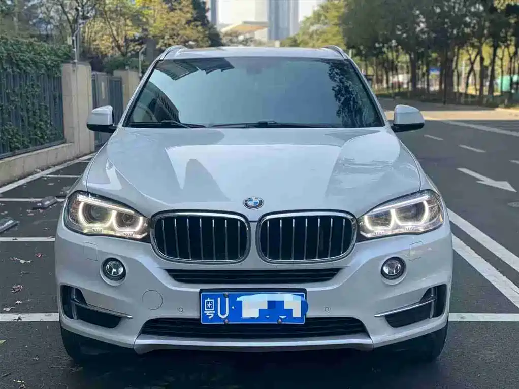 BMW X5 (Import) 2017 xDrive35i Elegance фото 3