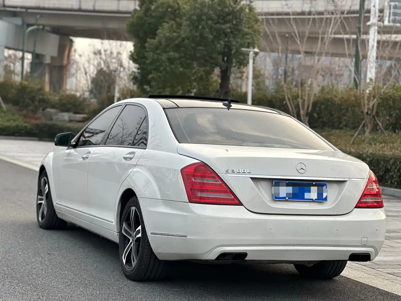 Mercedes-Benz S-Class 2010 S 300 L Luxury фото 4