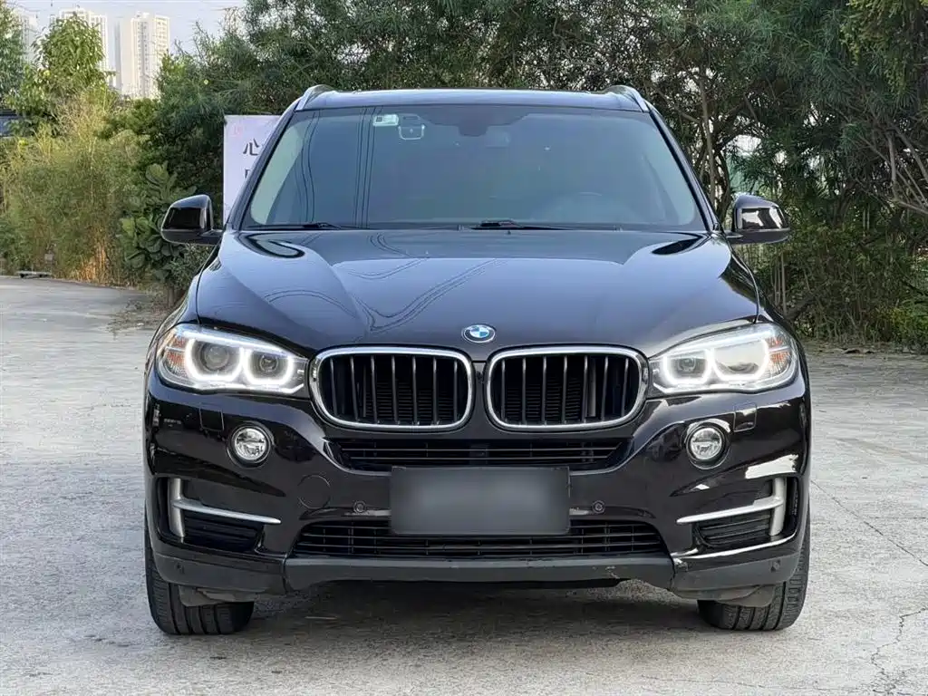 BMW X5 (Import) 2014 xDrive35i Leading фото 10