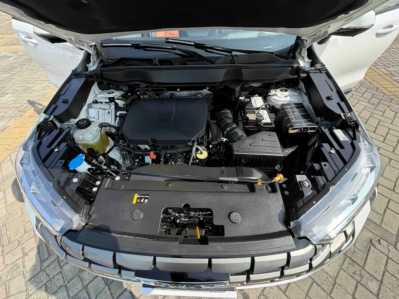Haval H6 2025 2024 2.0T 4WD Max