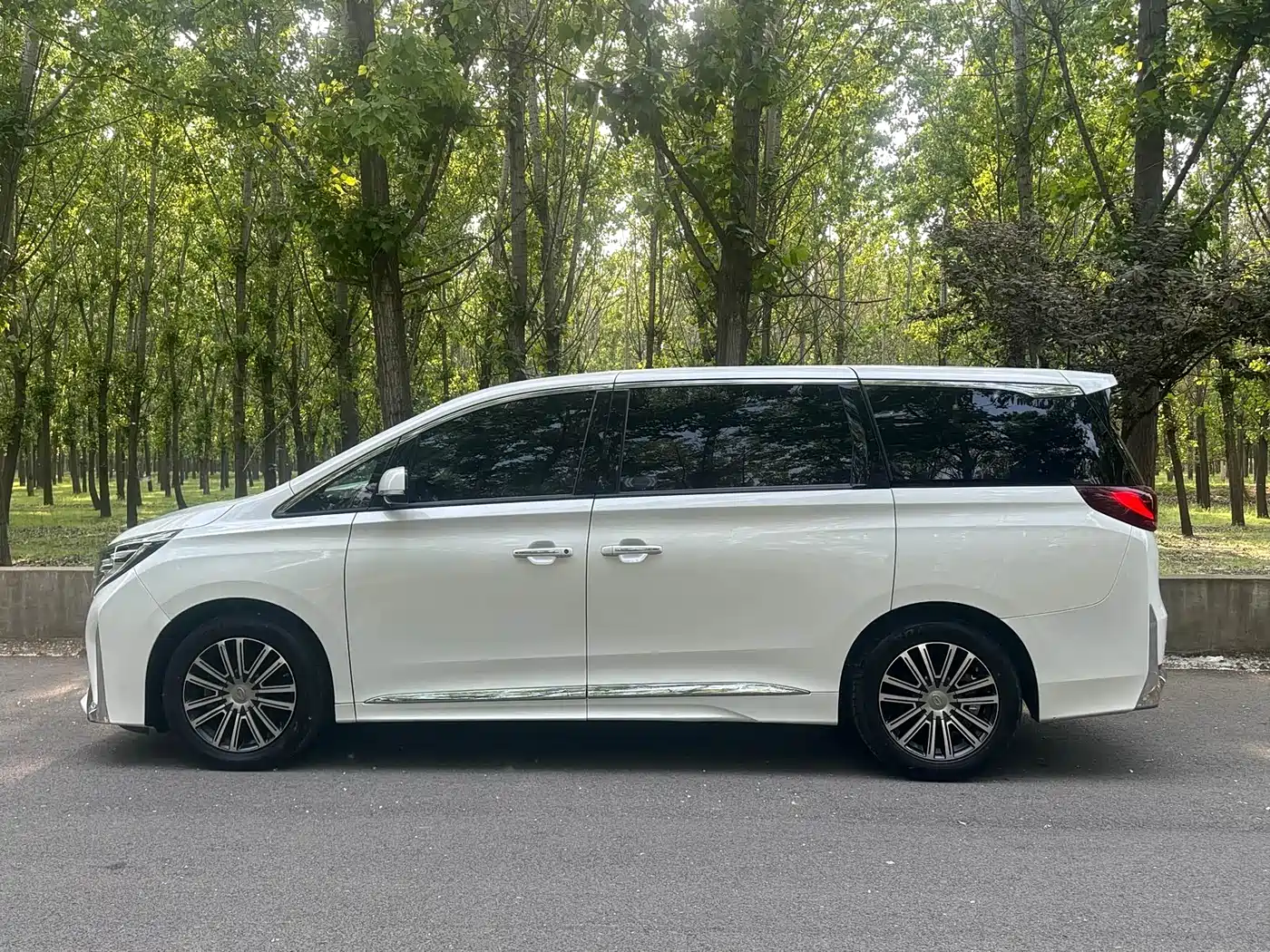GAC Trumpchi Trumpchi M8 2021 Leading Show Series 390T Ultimate Edition фото 7