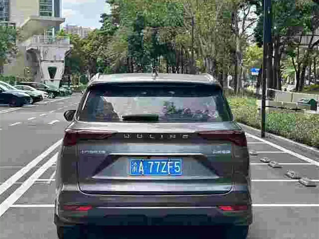 Фото 4 - Wuling Motors Wuling Victory