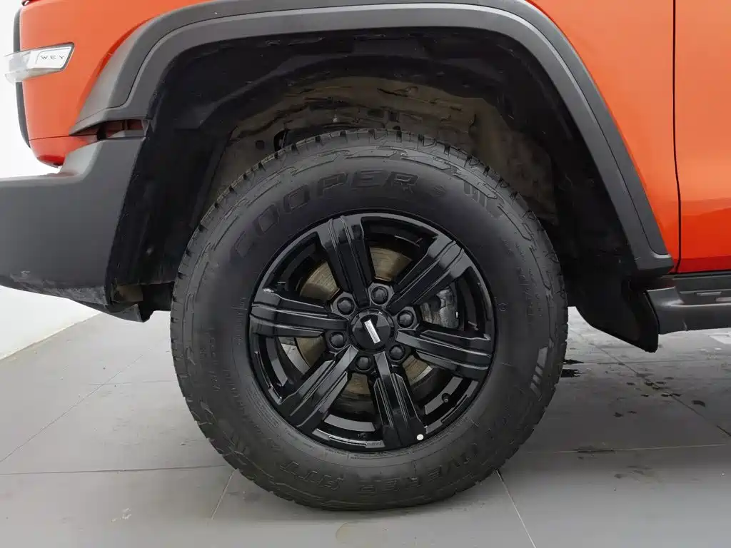 Tank 300 2021 2021 Off-road Version 2.0T Conqueror