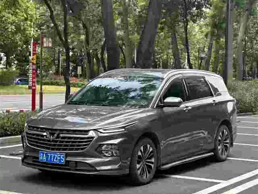 Wuling Motors Wuling Victory 2021 2020 1.5T CVT Flagship