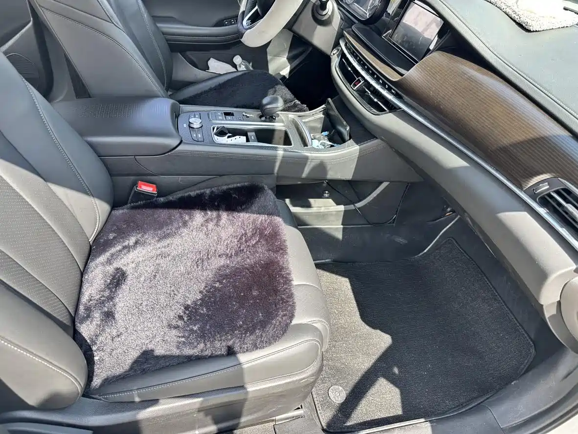 GAC Trumpchi Trumpchi GA6 2020 2019 270T Auto Luxury