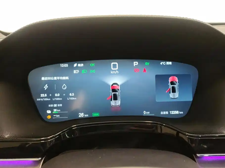 BYD Tang New Energy 2025 Smart Driving Edition DM-i 115KM Flagship фото 14