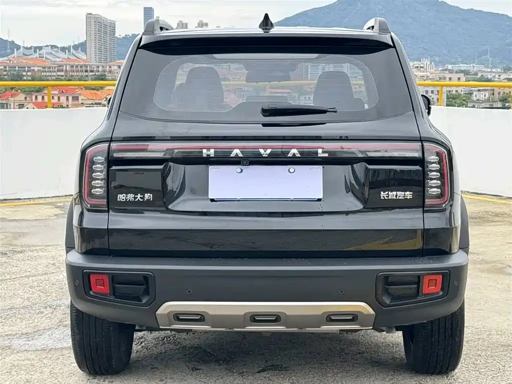 HAVAL BIG DOG
