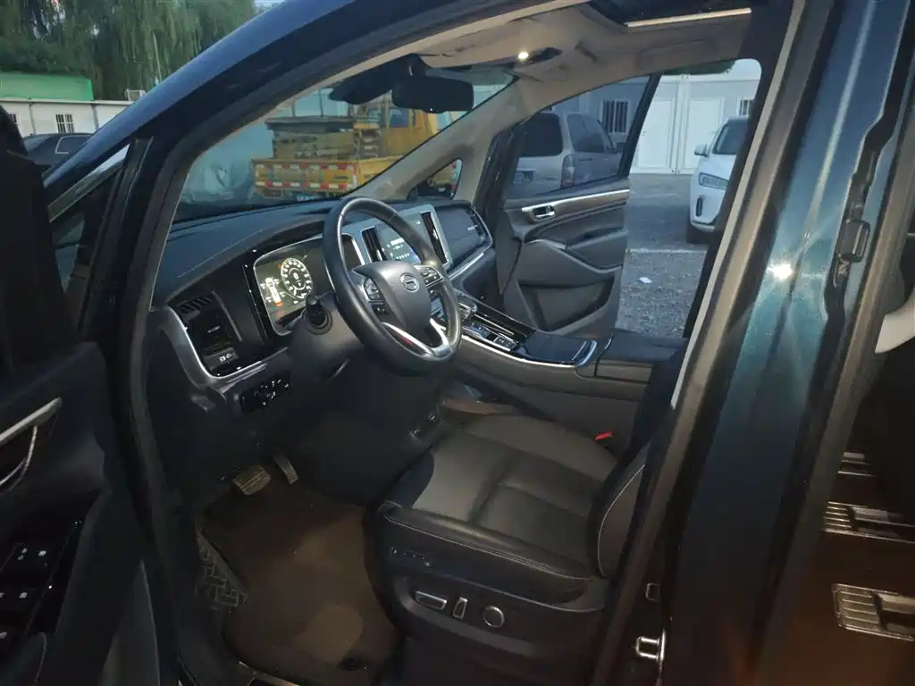 GAC Trumpchi Trumpchi M8 2021 Leading Show Series 390T Ultimate Edition фото 15