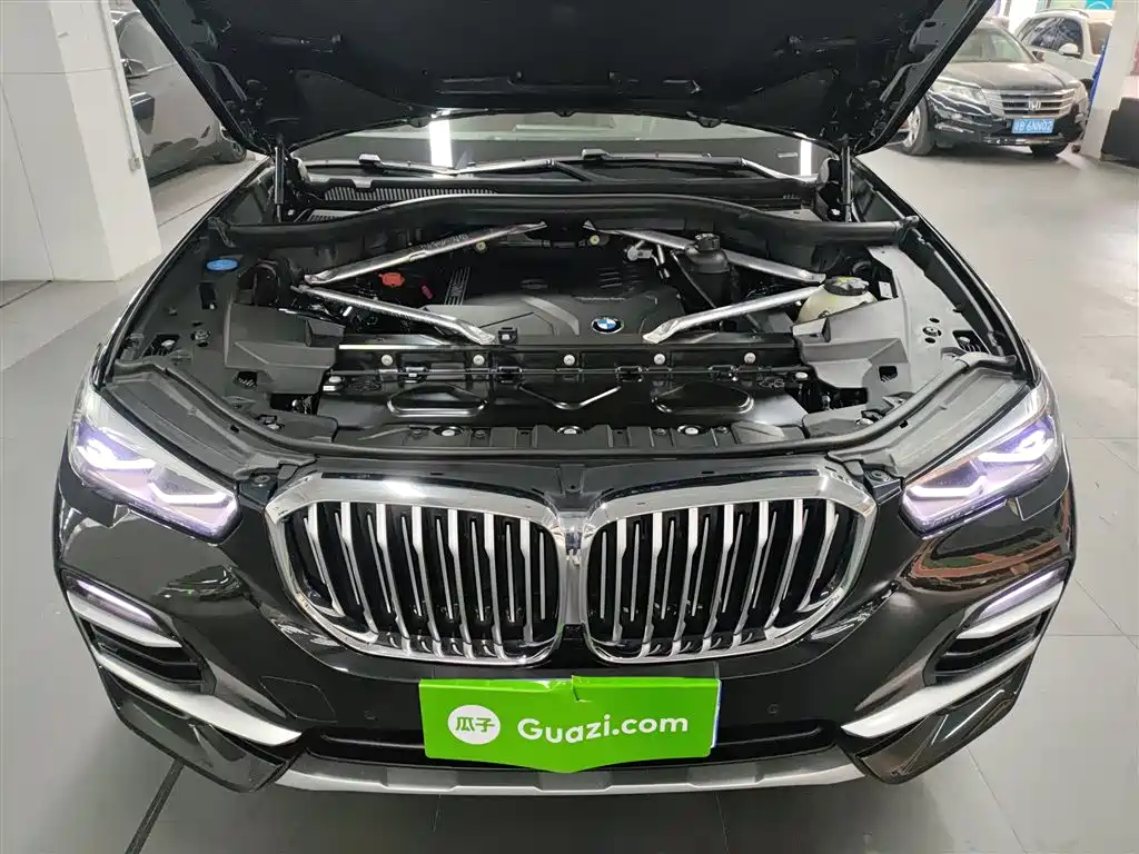 BMW X5 (Import) 2021 Facelift xDrive30i X Design Package фото 10