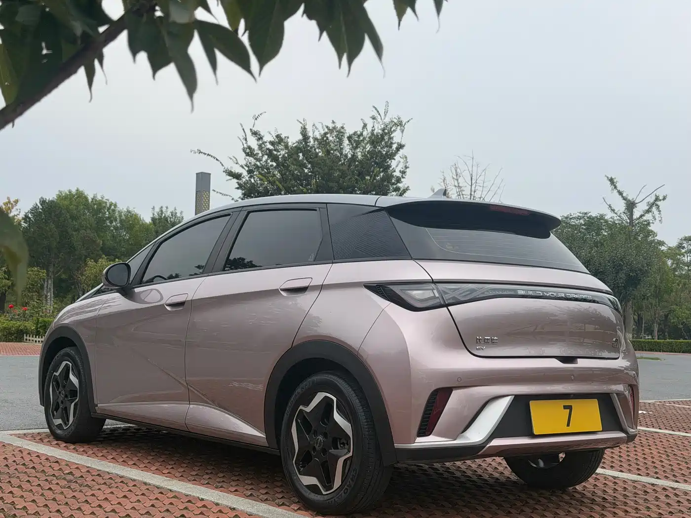 BYD Dolphin 2021 2021 Model 405km Fashion Edition